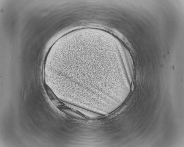 X0000085781520200704131816