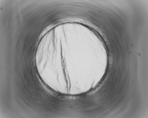 X0000085781521200704131816