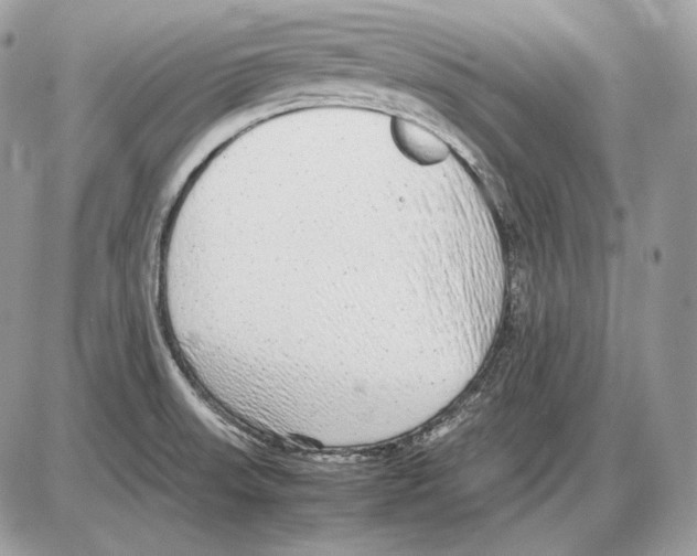 X0000085781523200704131816