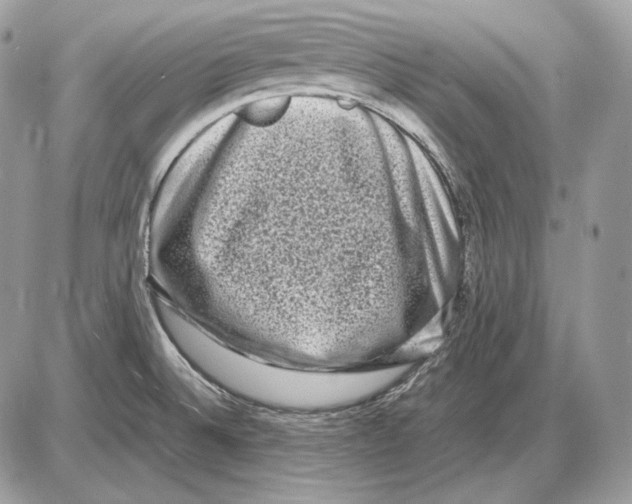 X0000085781524200704131816