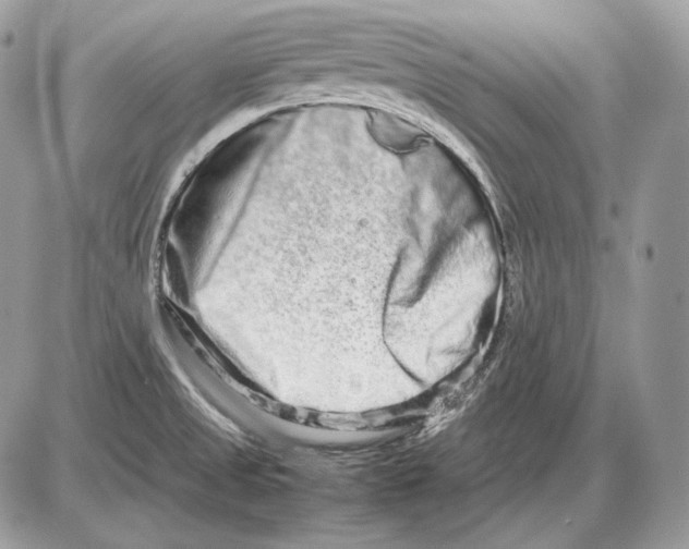 X0000085781525200704131816