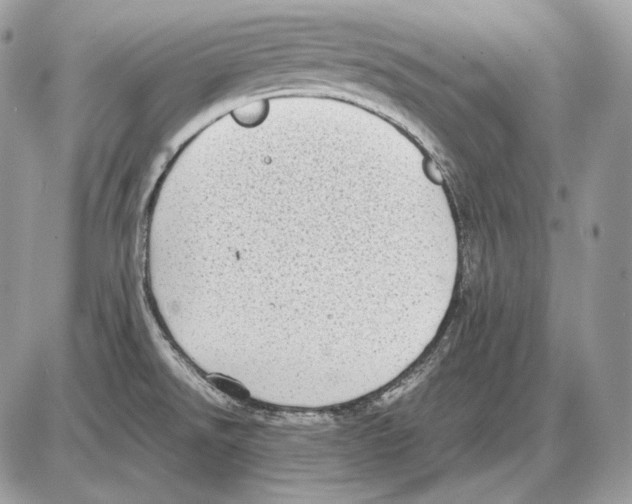 X0000085781526200704131816