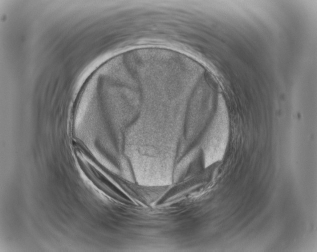 X0000085781527200704131816