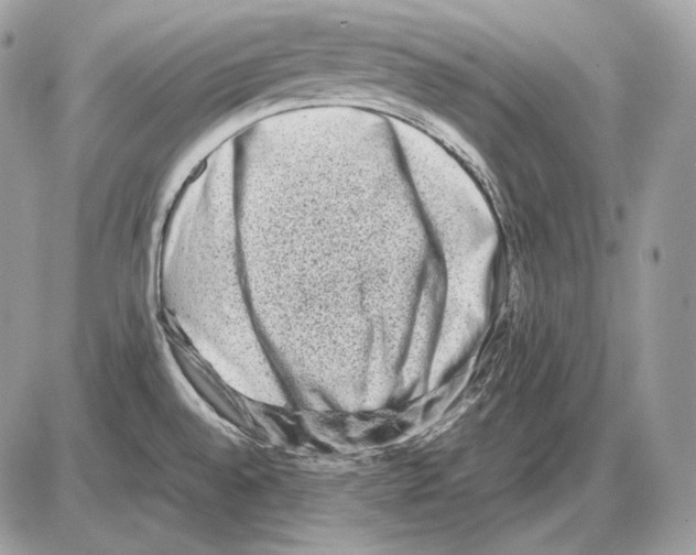 X0000085781528200704131816