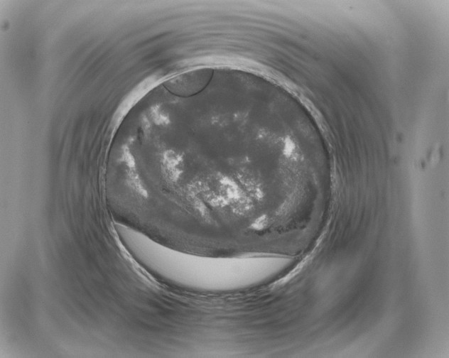 X0000085781529200704131816