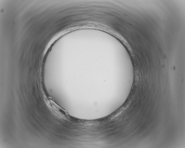 X0000085781530200704131816