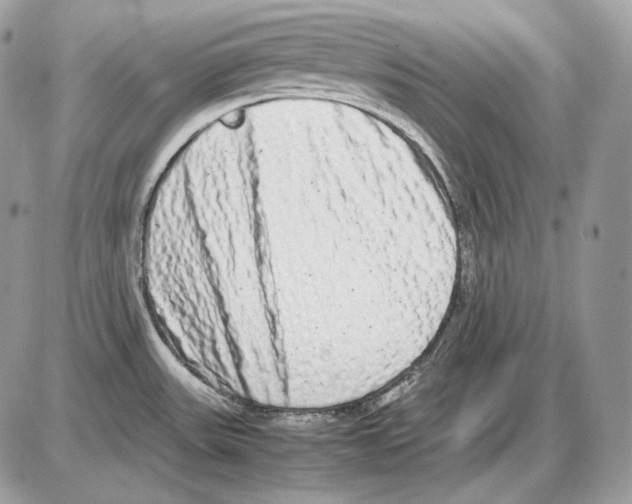 X0000085781531200704131816