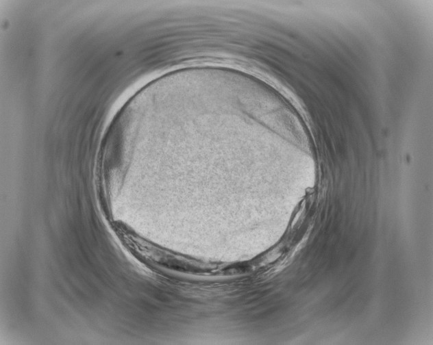 X0000085781533200704131816