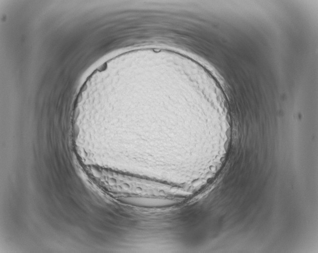 X0000085781534200704131816