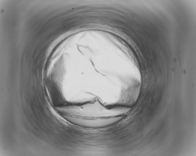 X0000085781535200704131816