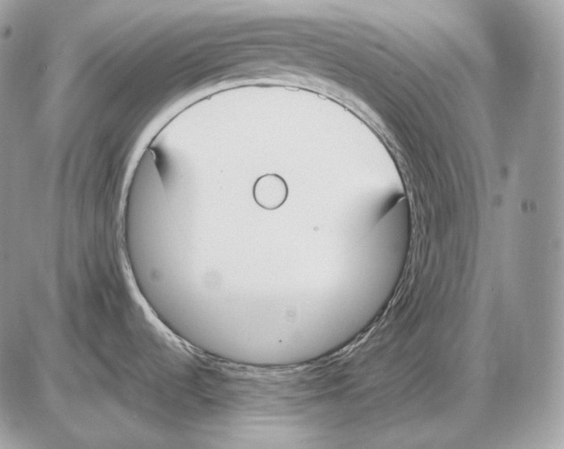 X0000085781536200704131816