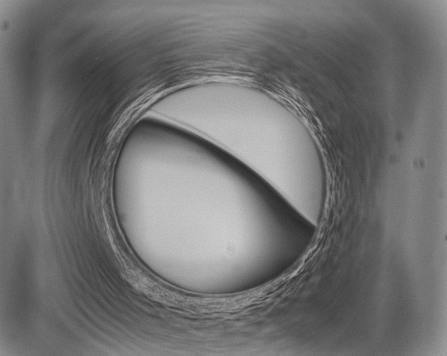 X0000085790001200703160946