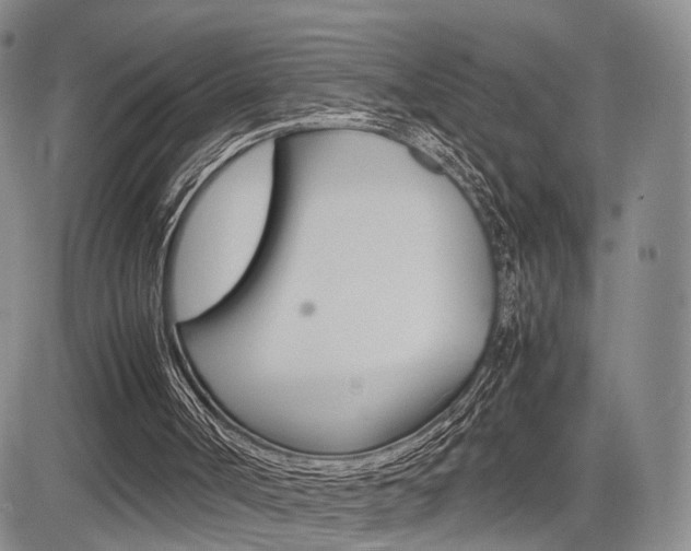 X0000085790002200703160946