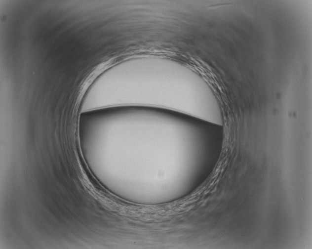 X0000085790003200703160946