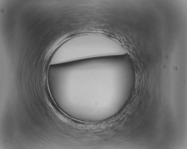 X0000085790005200703160945