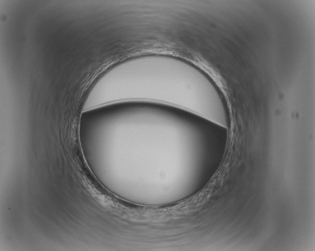 X0000085790009200703160945