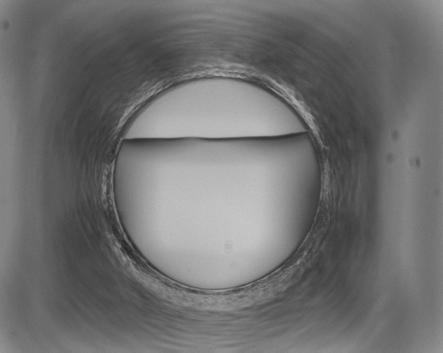 X0000085790010200703160945