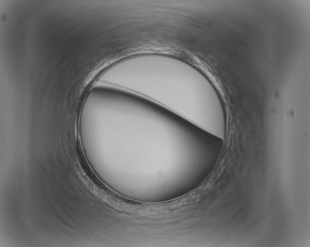 X0000085790011200703160945