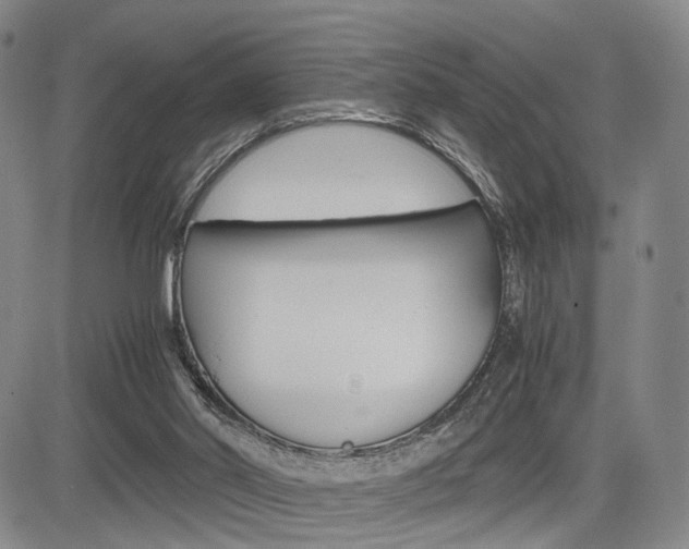 X0000085790014200703160945