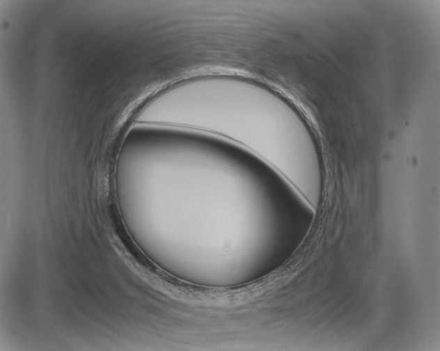 X0000085790015200703160945