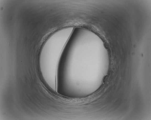 X0000085790019200703160945