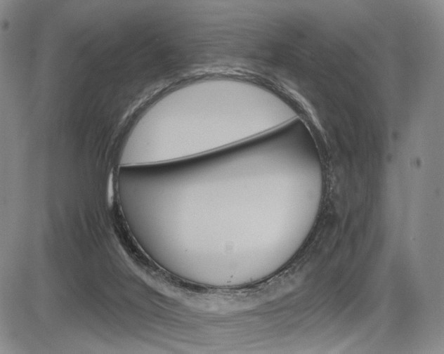 X0000085790020200703160945