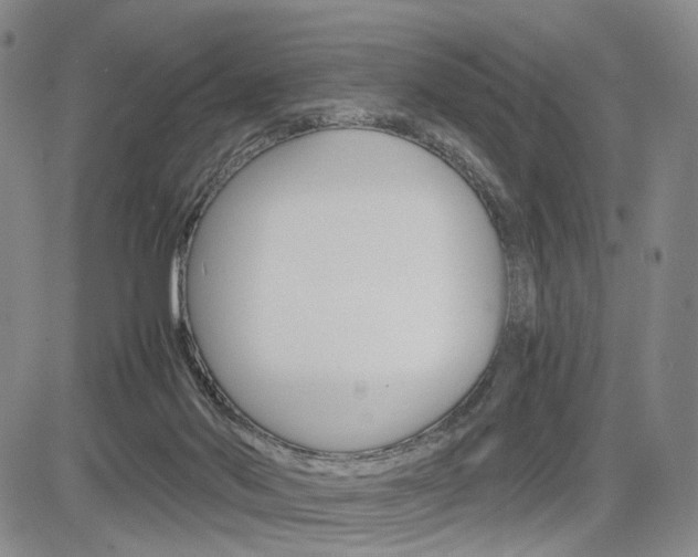 X0000085790022200703160945