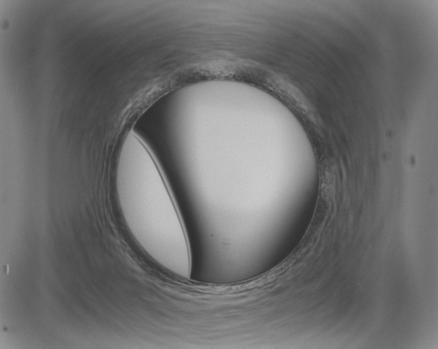 X0000085790023200703160945