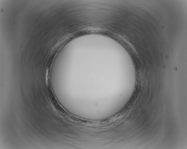 X0000085790024200703160945