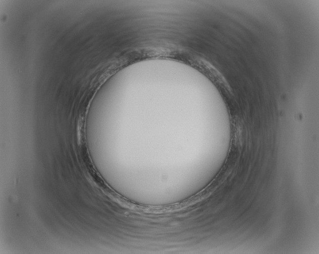 X0000085790026200703160945