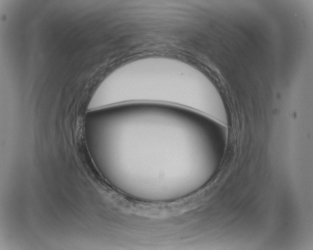 X0000085790029200703160945