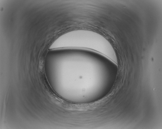 X0000085790033200703160945