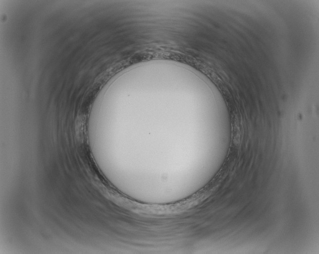 X0000085790034200703160945