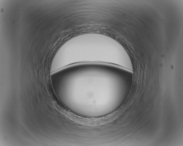 X0000085790035200703160945