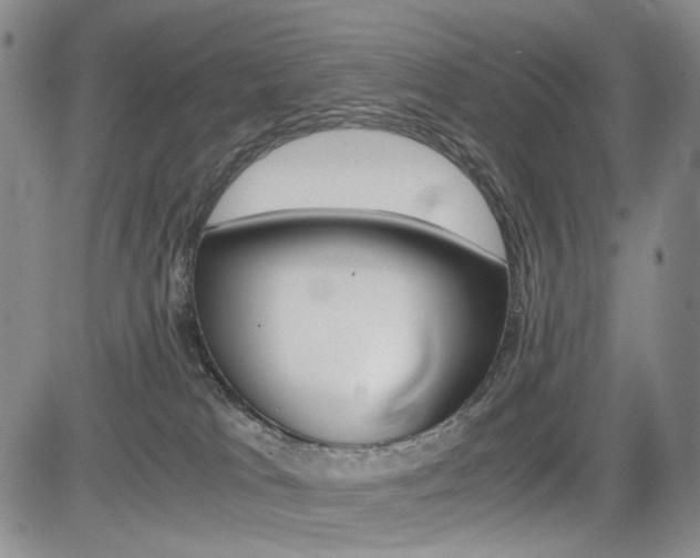 X0000085790037200703160945