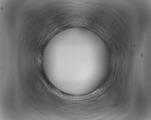 X0000085790040200703160945