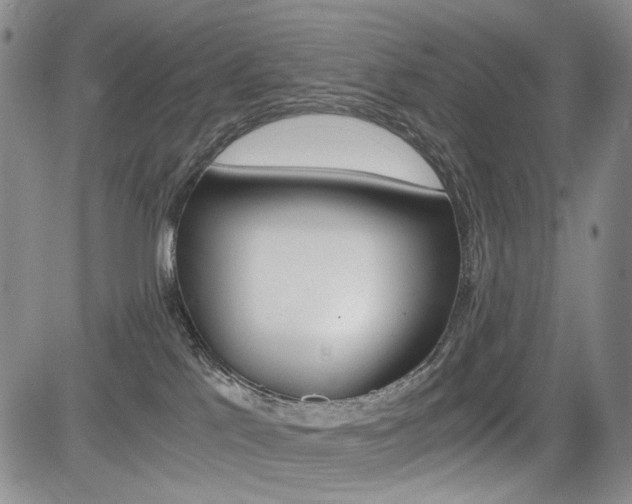 X0000085790041200703160945