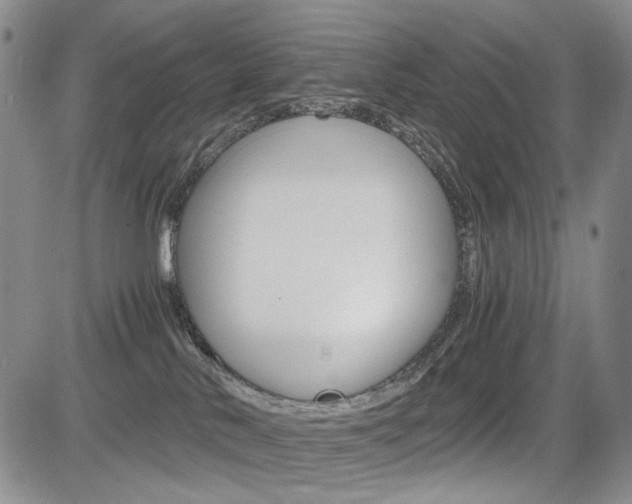 X0000085790042200703160945