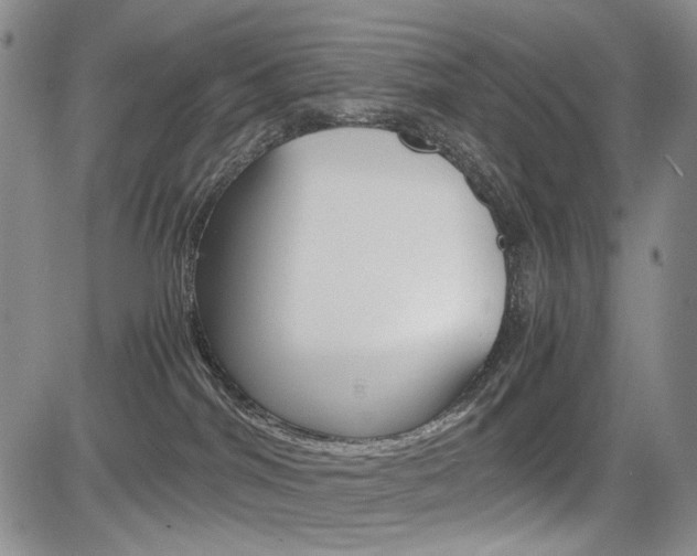 X0000085790044200703160945