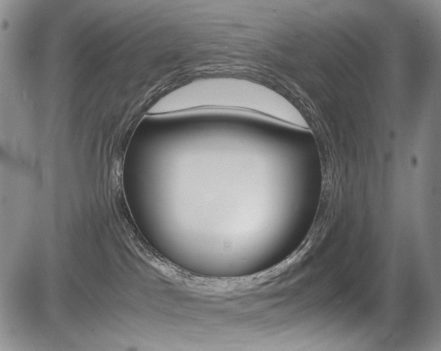 X0000085790045200703160945