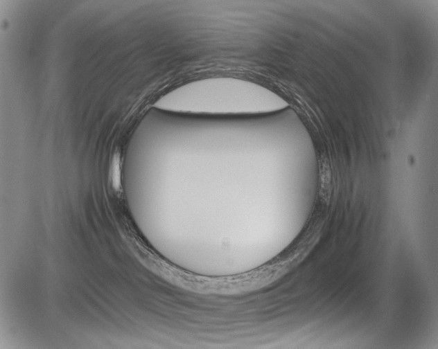 X0000085790046200703160945