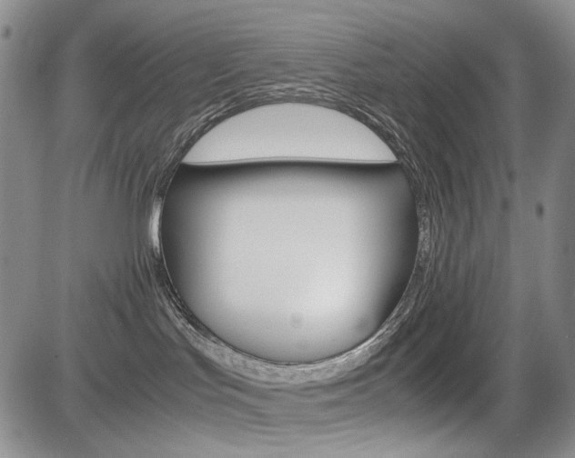 X0000085790047200703160945