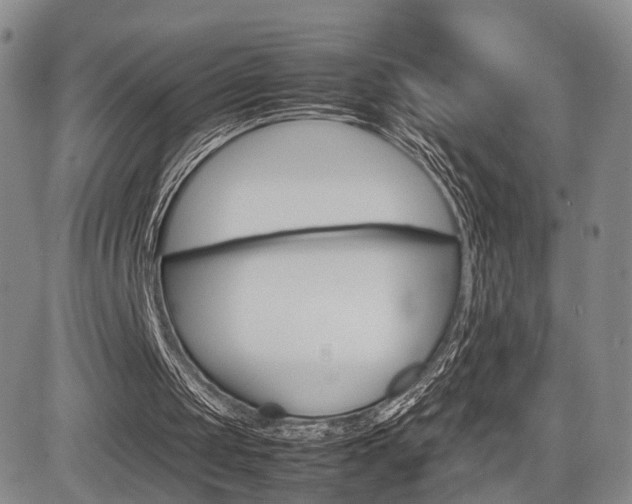 X0000085790049200703160944