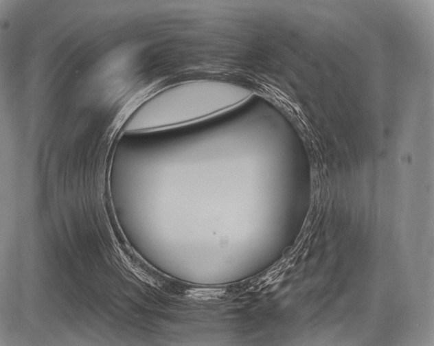 X0000085790051200703160944