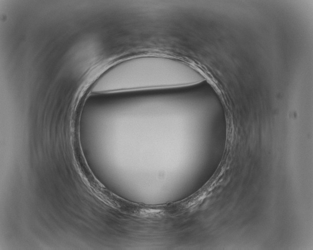 X0000085790055200703160944