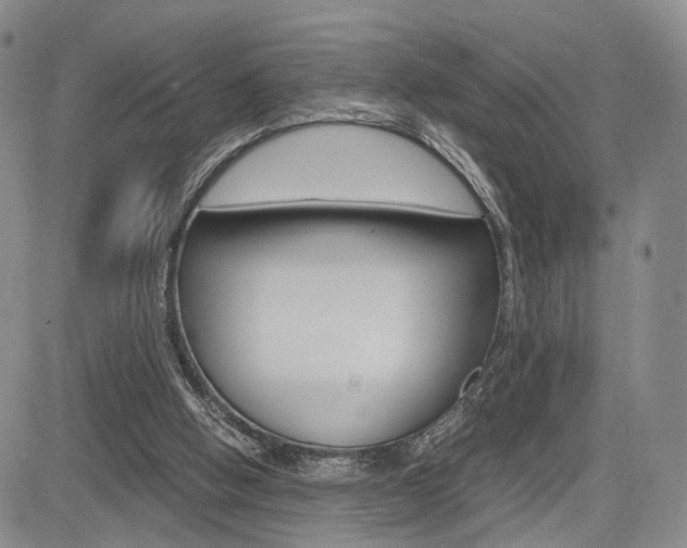 X0000085790058200703160944