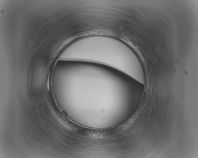 X0000085790062200703160944