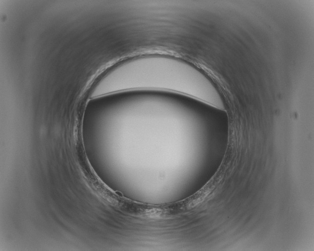 X0000085790064200703160944