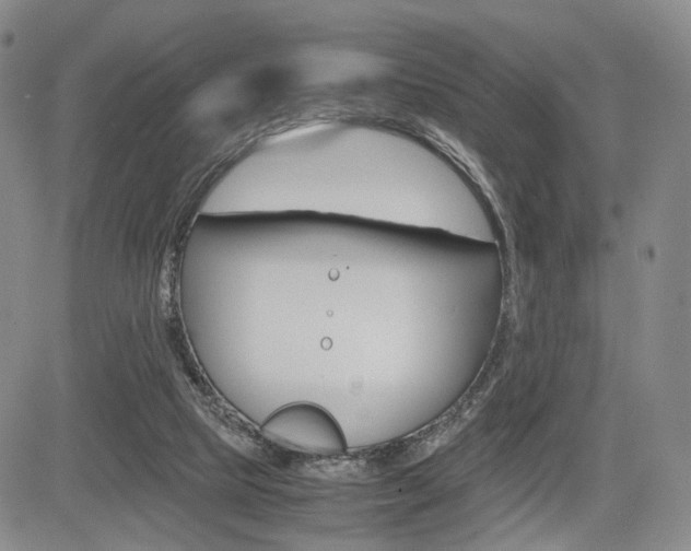 X0000085790065200703160944