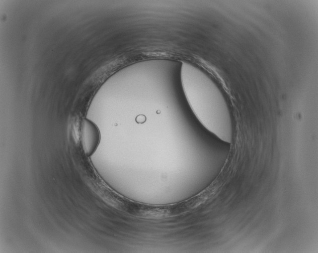 X0000085790069200703160944